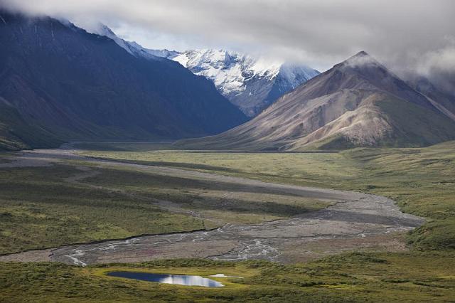 132 Denali NP.jpg